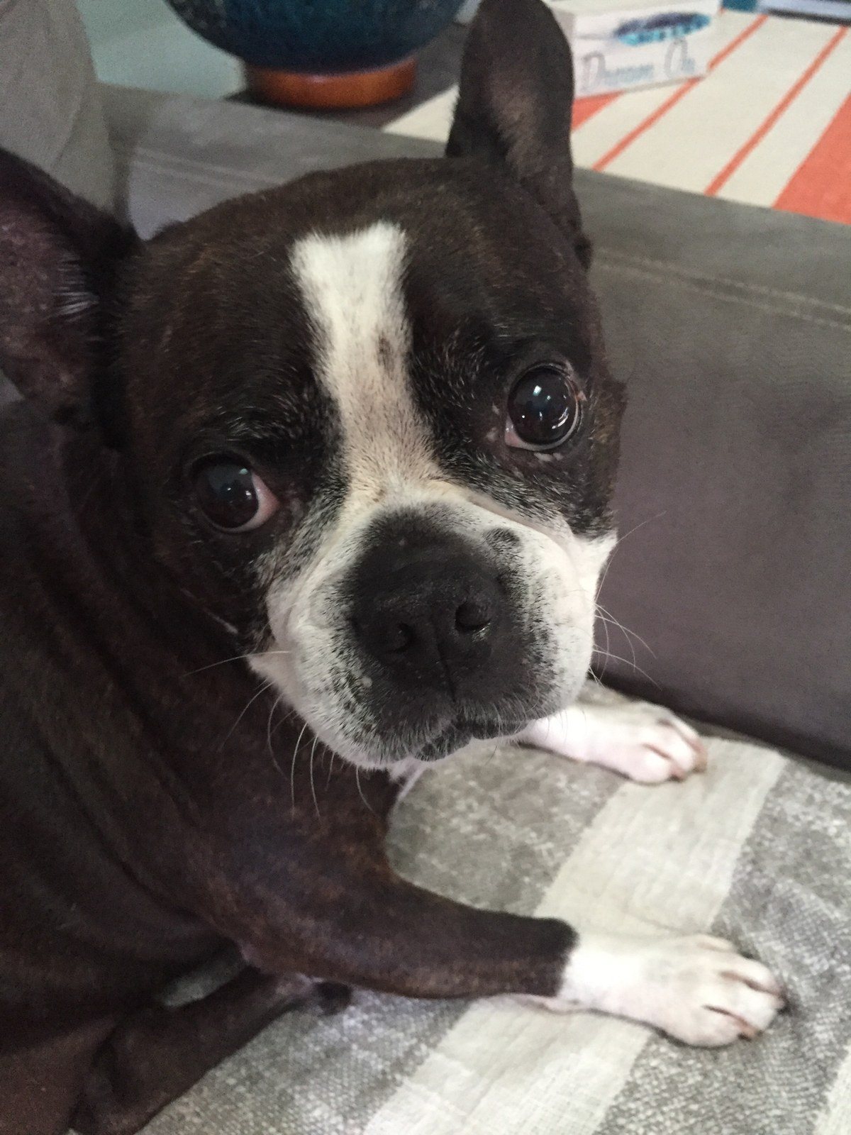 Lucy Aka Lucifer