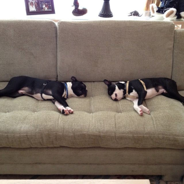 Nap Time