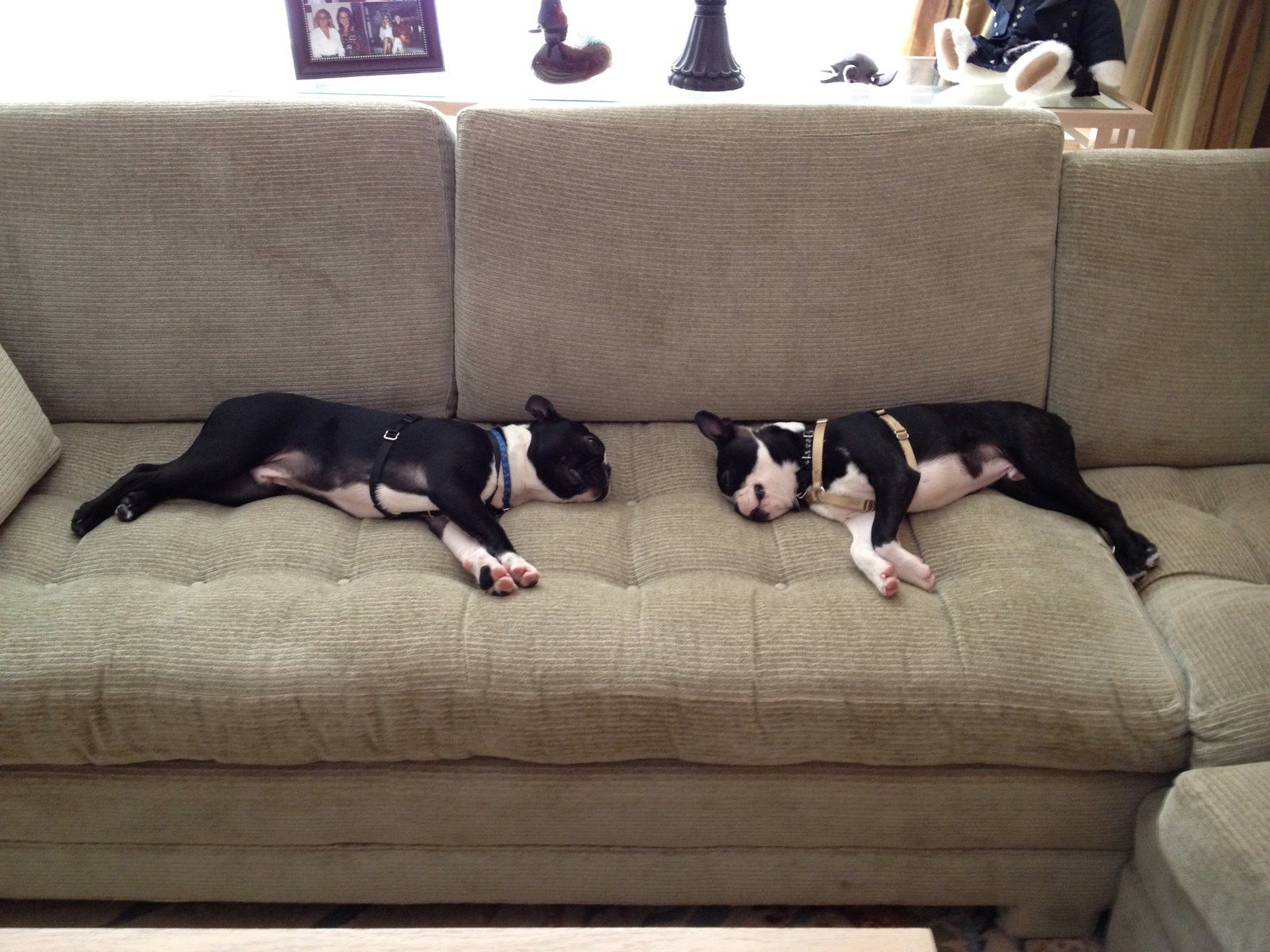Nap Time