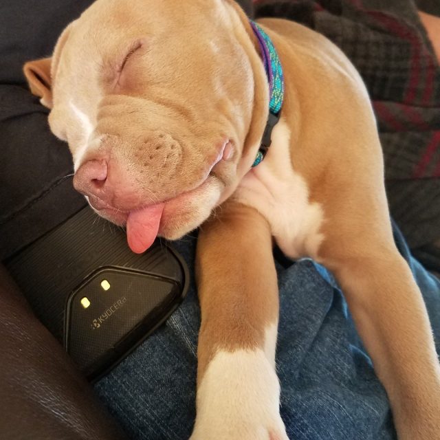 Naptime
