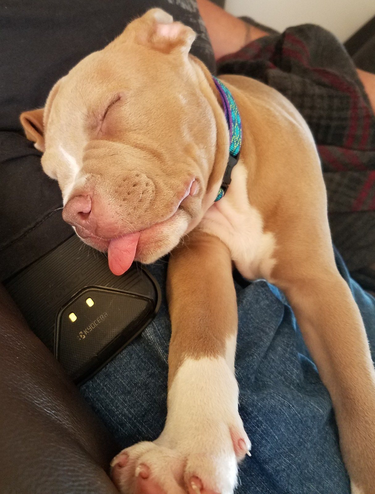 Naptime