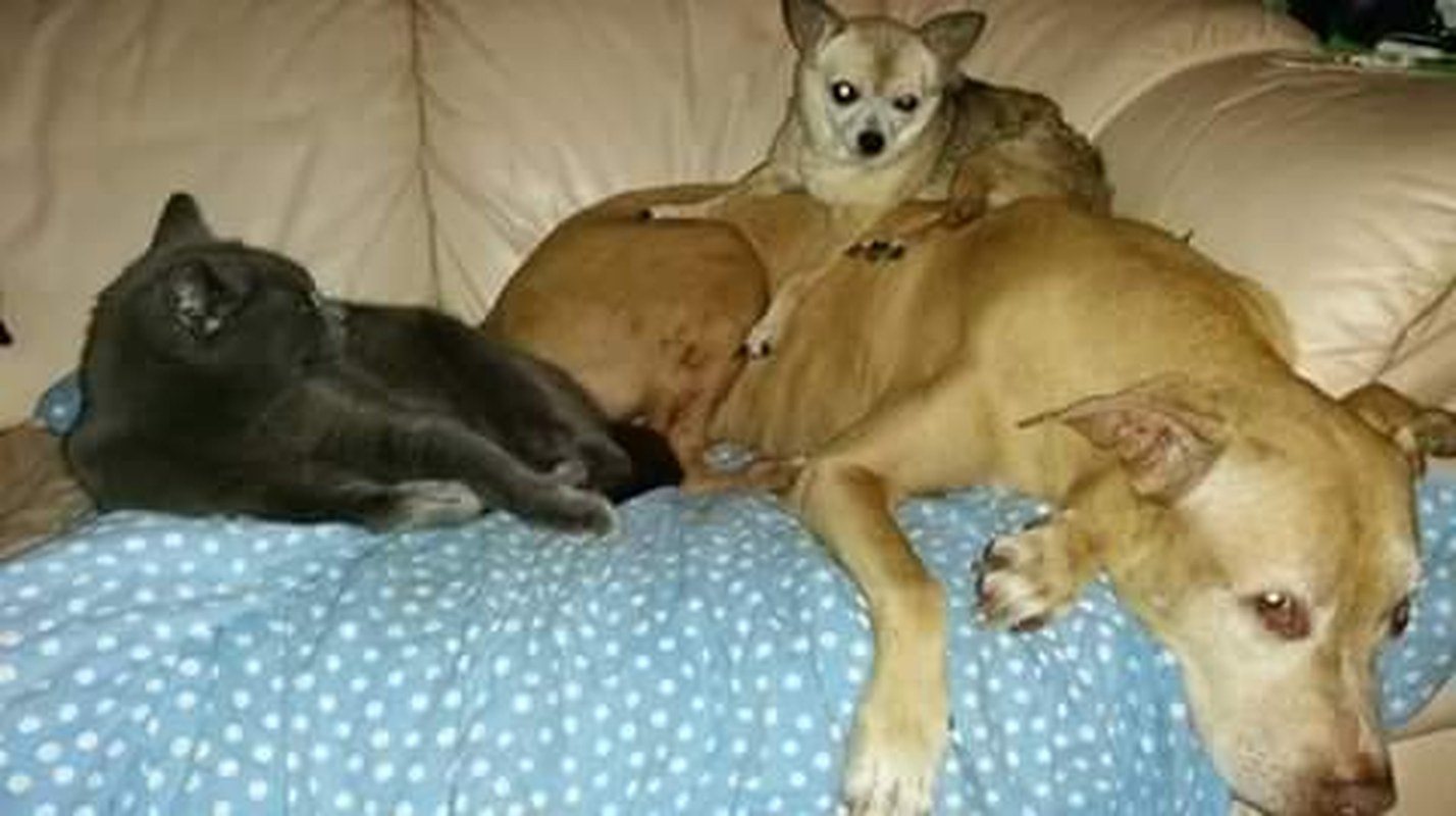 BEST BUDDIES!!!!!!