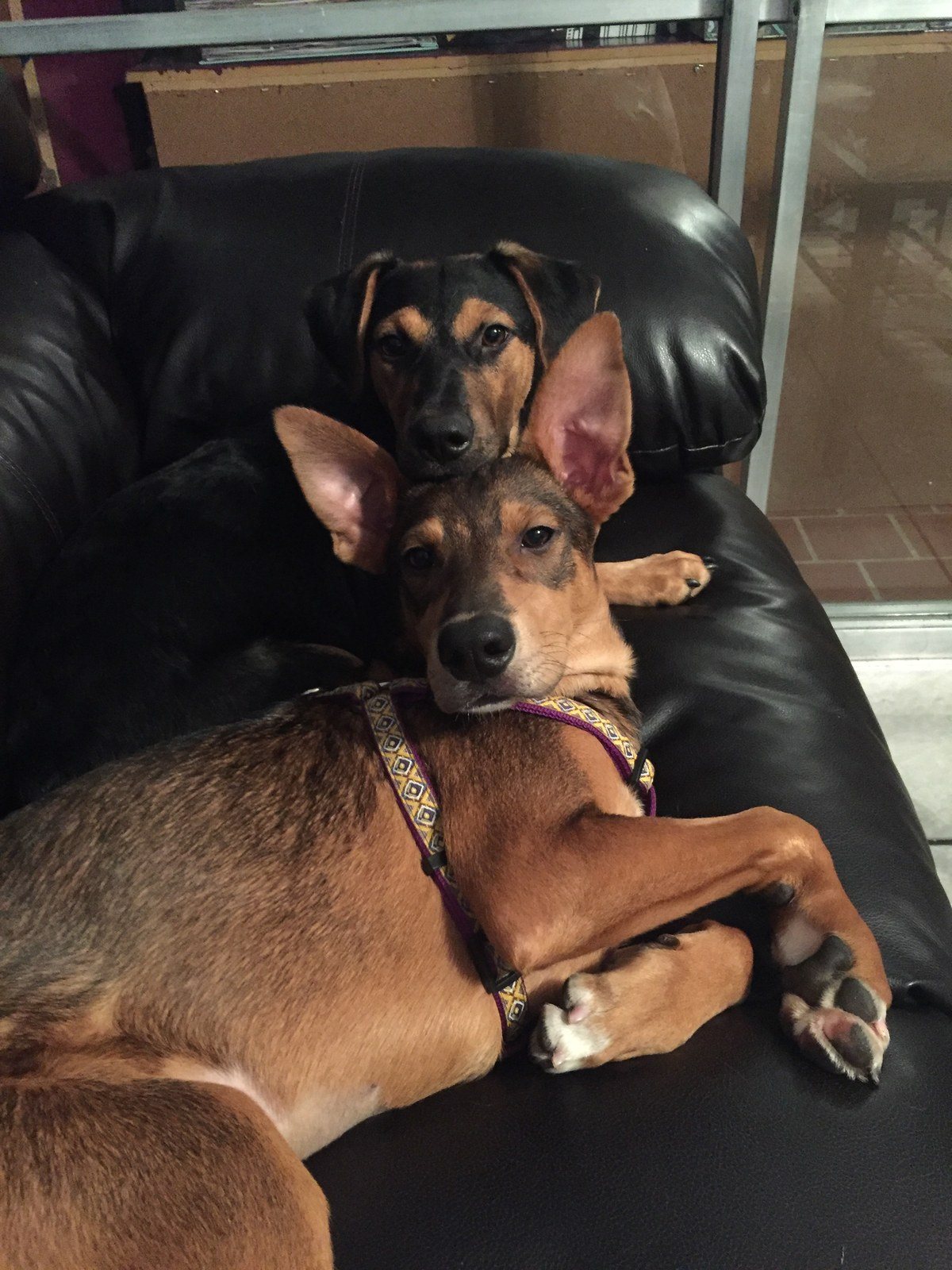 Double Trouble