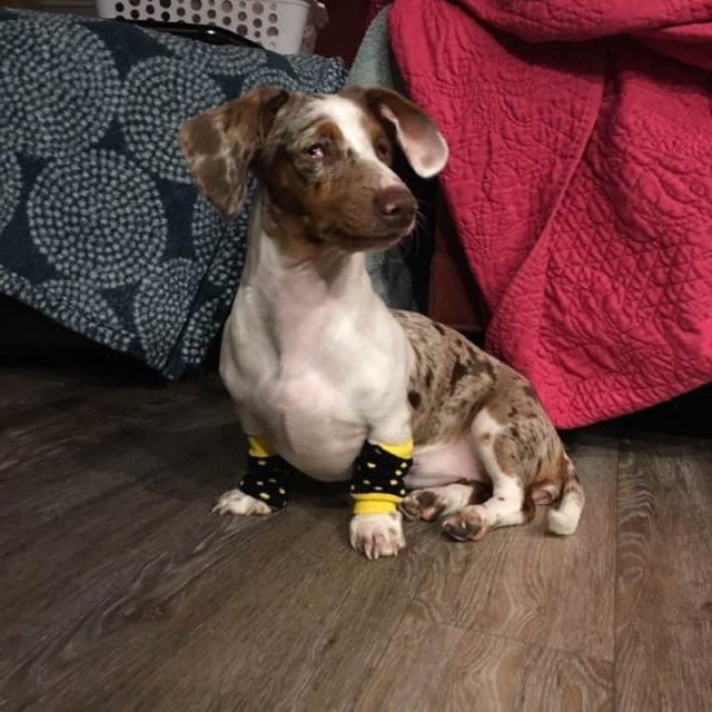 Lucy Looking Sassy In Those Leg Warmers!