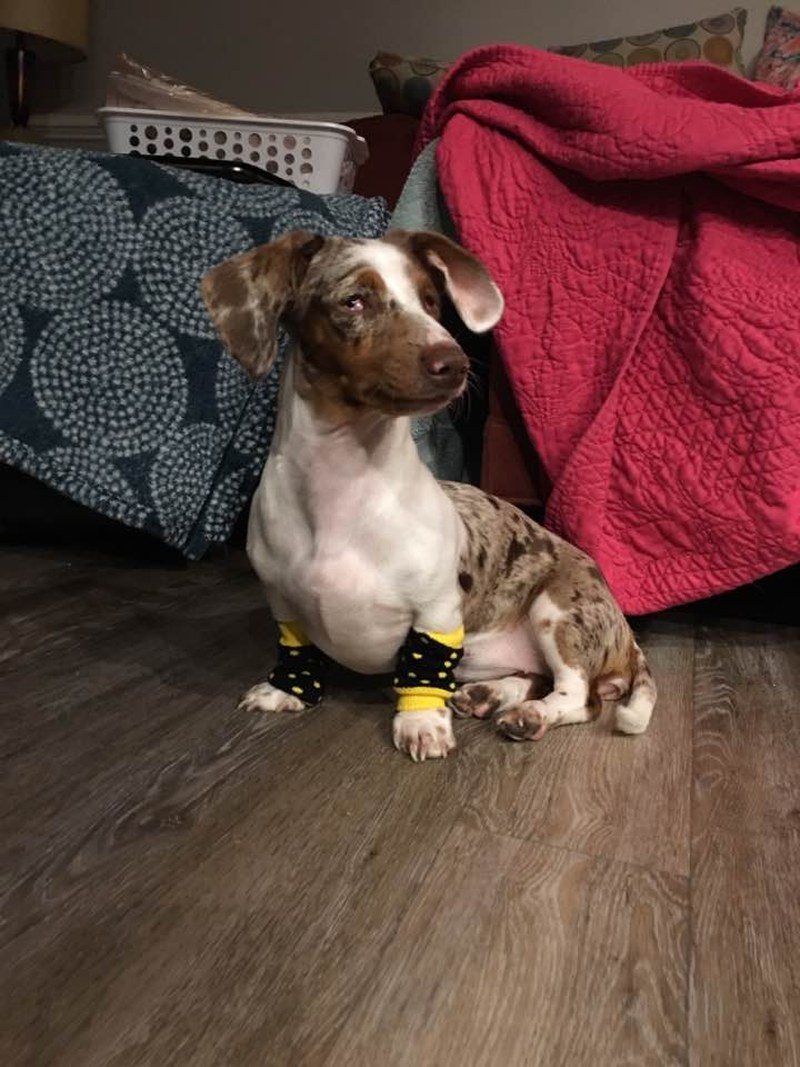 Lucy Looking Sassy In Those Leg Warmers!
