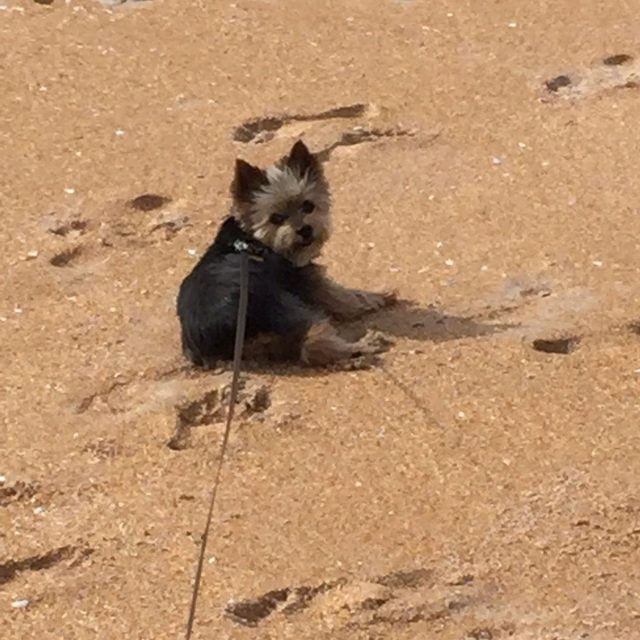 Soaking Up Some Sun