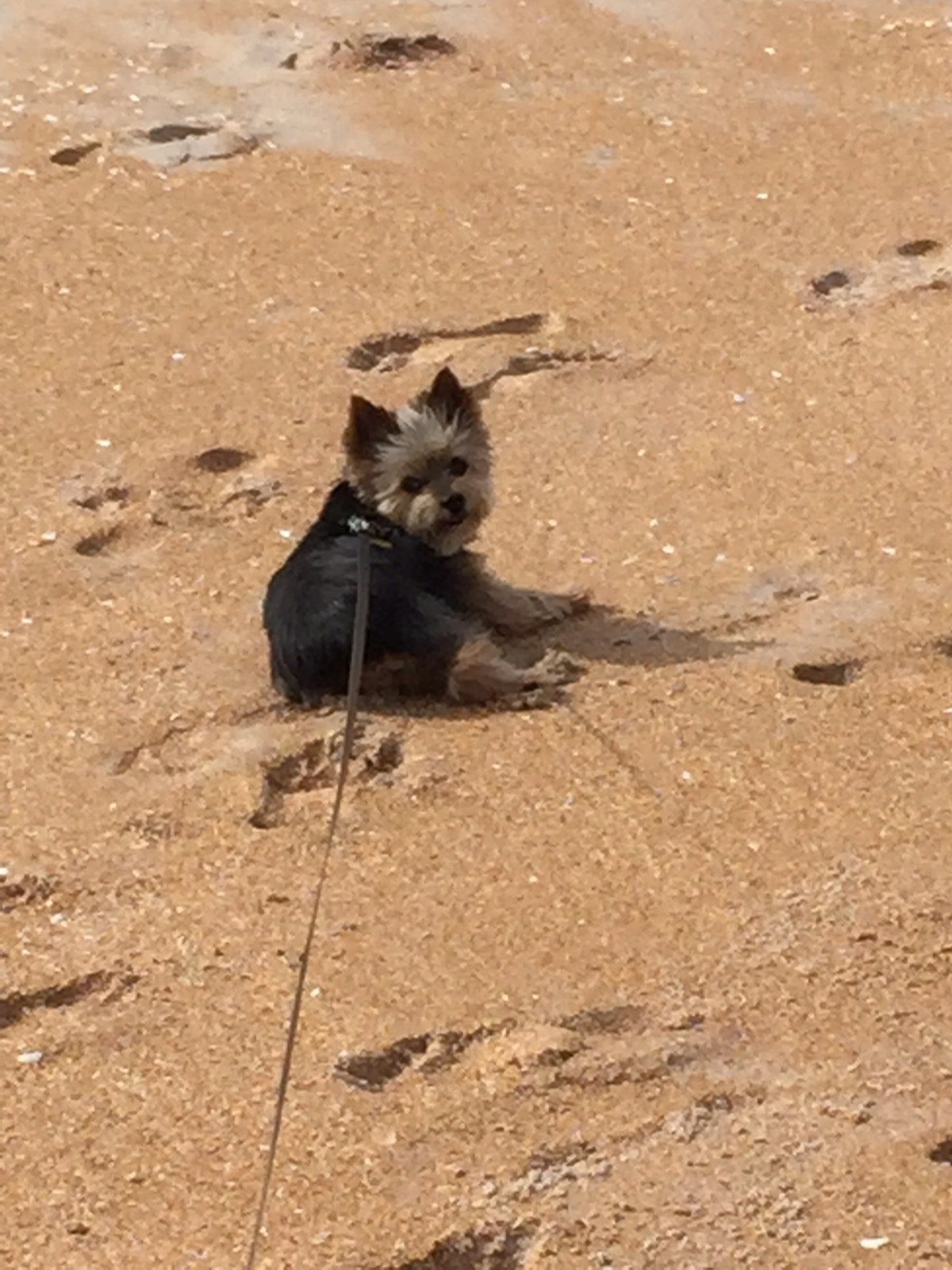 Soaking Up Some Sun