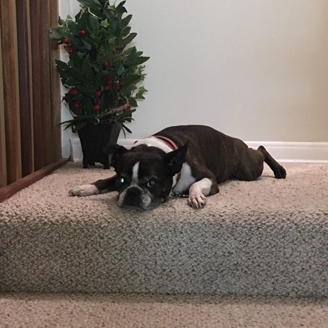 Do You Really Have To Work?!