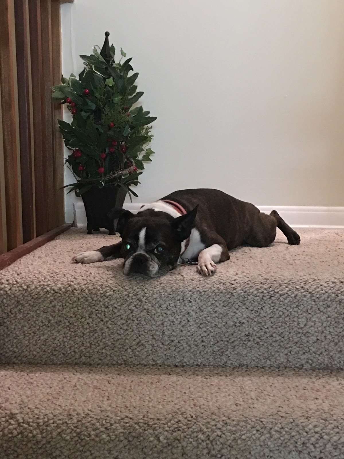 Do You Really Have To Work?!