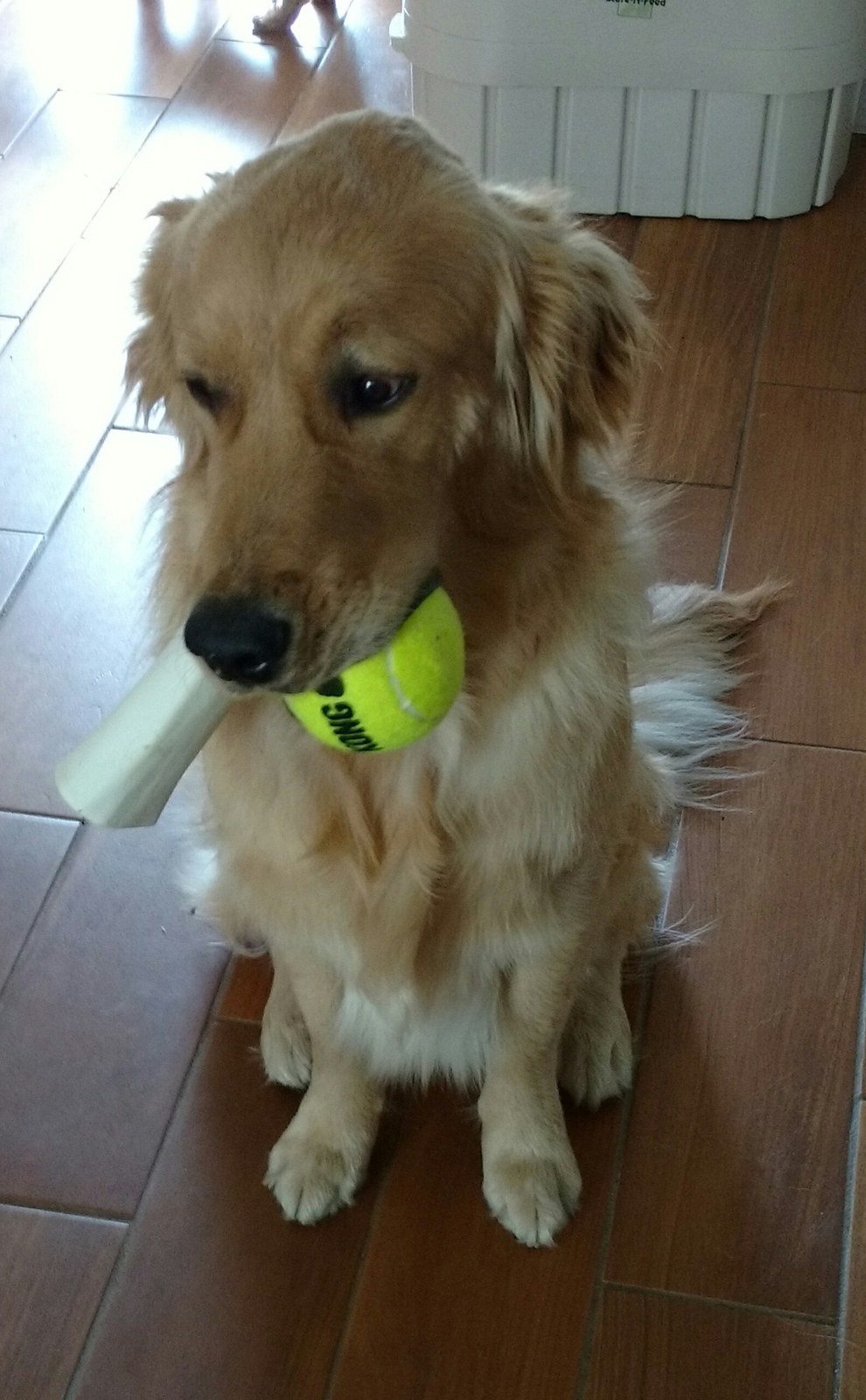 But I Love Both Toys
