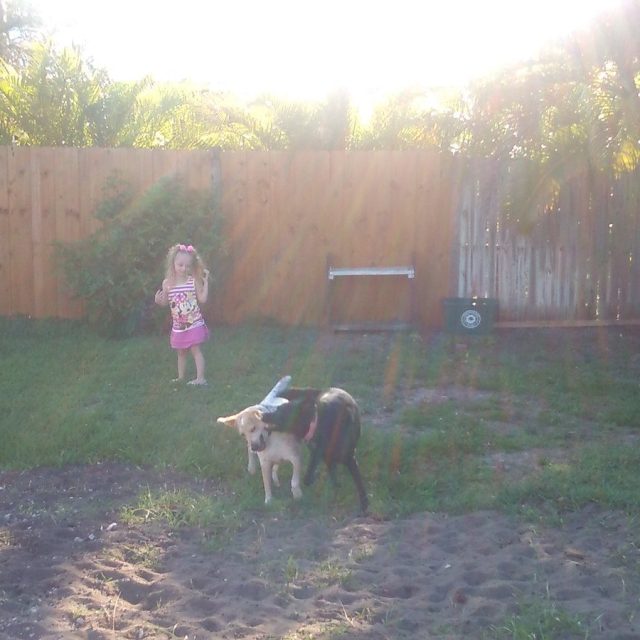 Romping Around