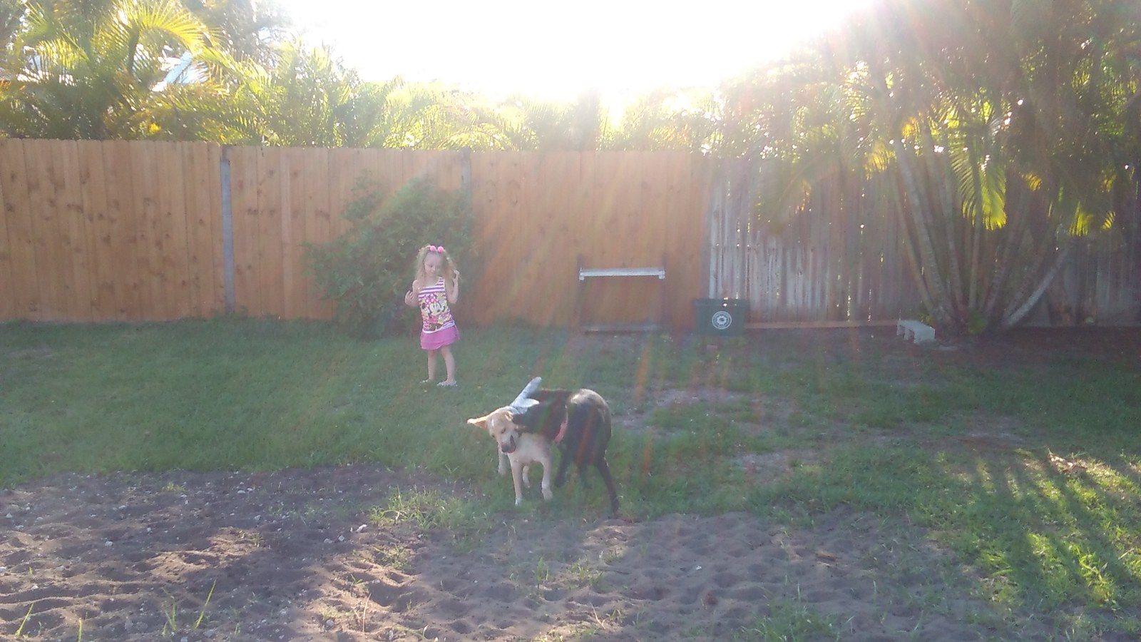 Romping Around