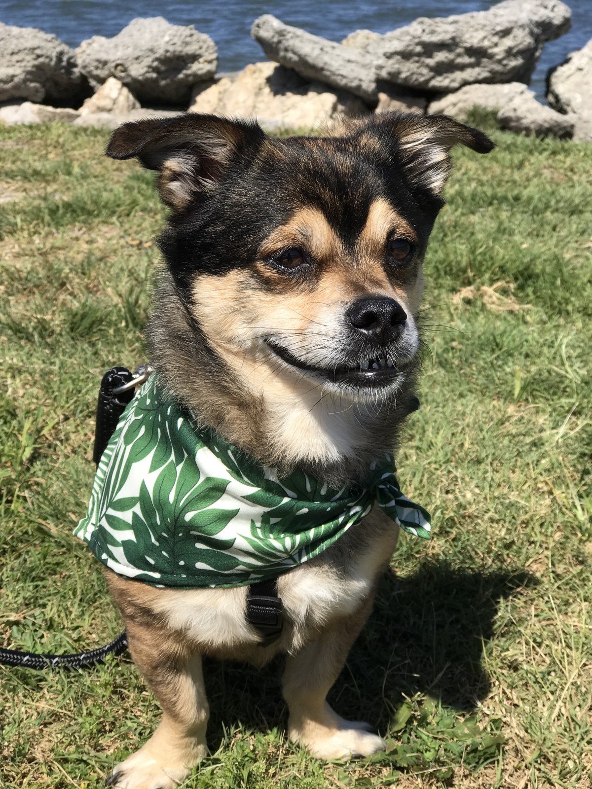 Newman Smiling For The Camera!