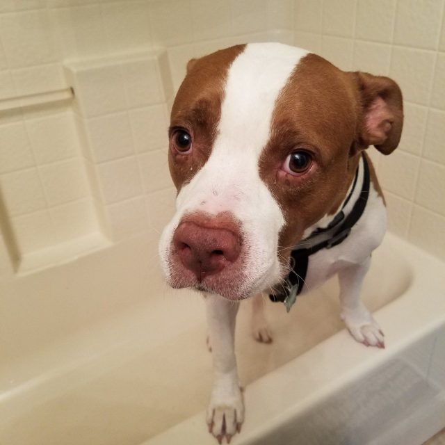 Let Me Outta Here!