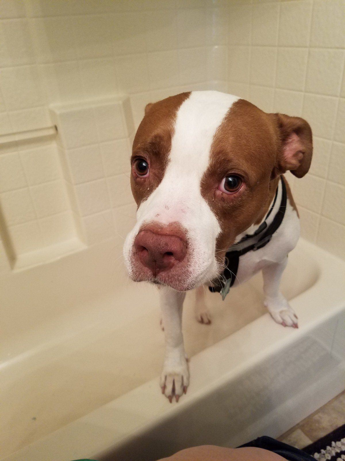 Let Me Outta Here!