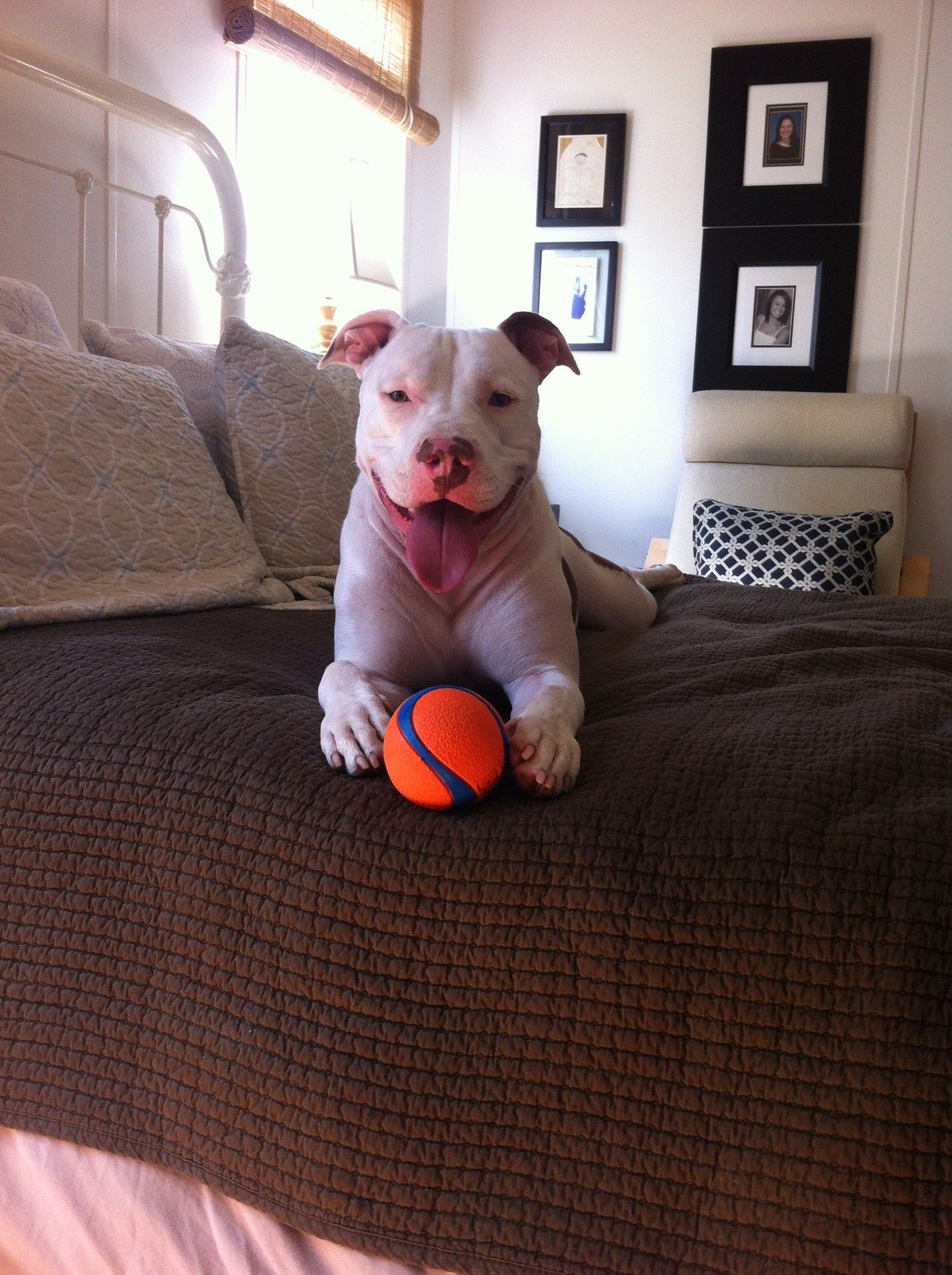New Ball