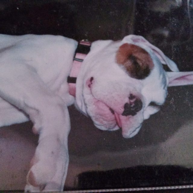 Sweetness