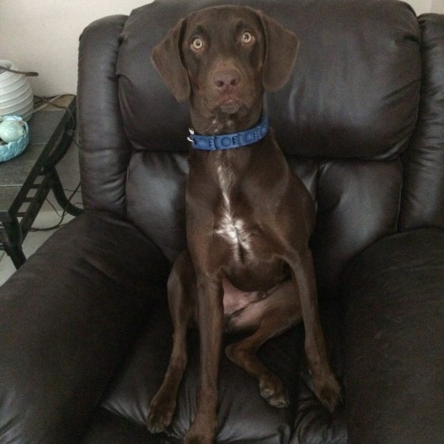 Just Sitting Here Mom