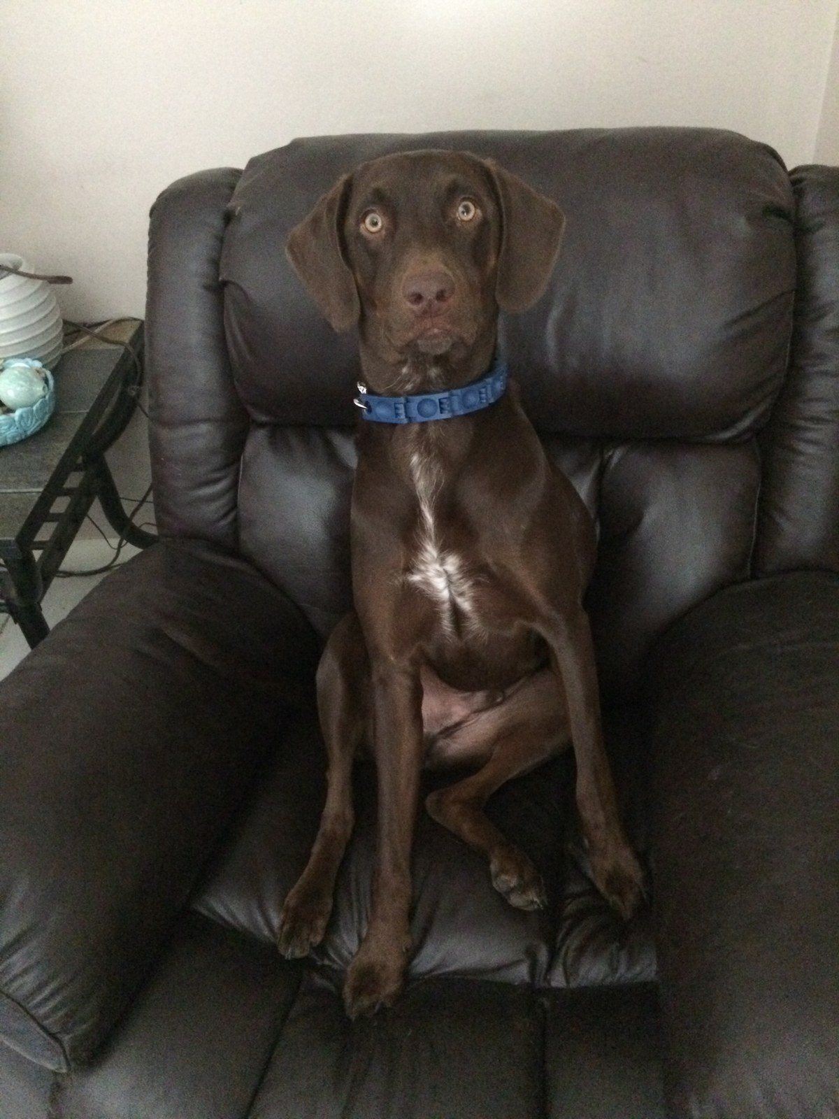 Just Sitting Here Mom