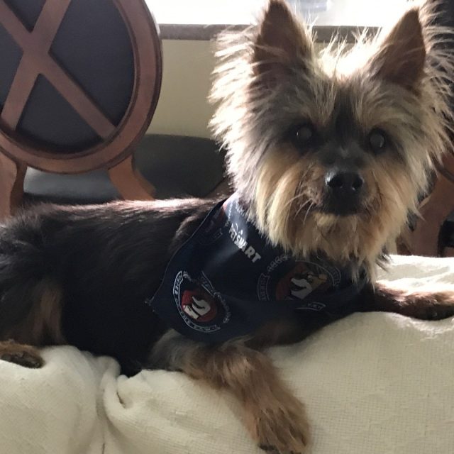 Lookin' Good