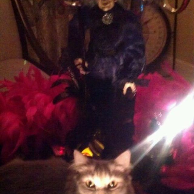 PhotoBomb By Champagne