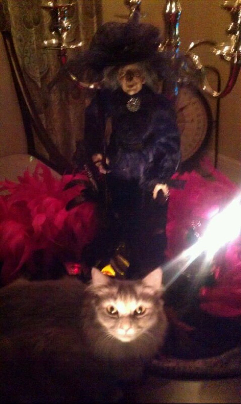 PhotoBomb By Champagne