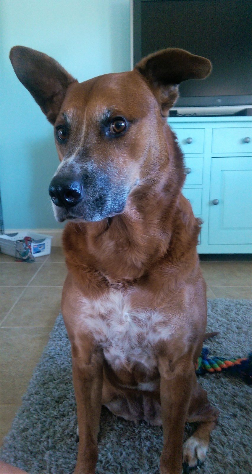 Is That A Treat You Have?