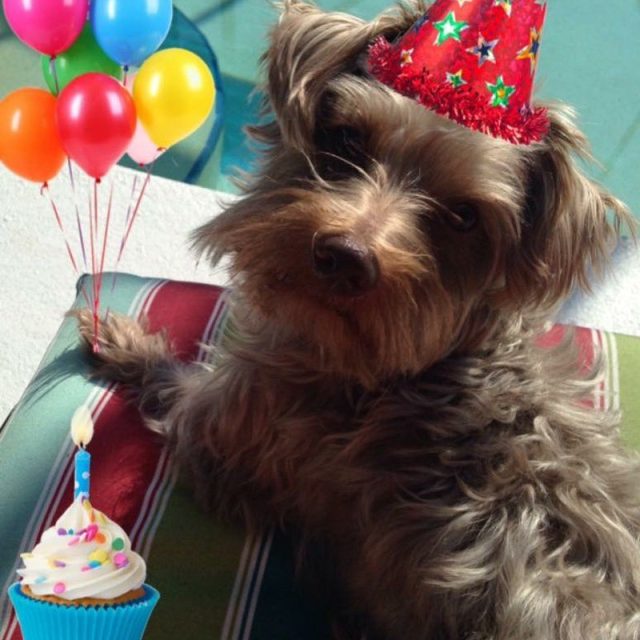 It's My Birthday Month!