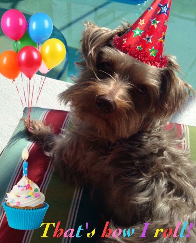 It's My Birthday Month!