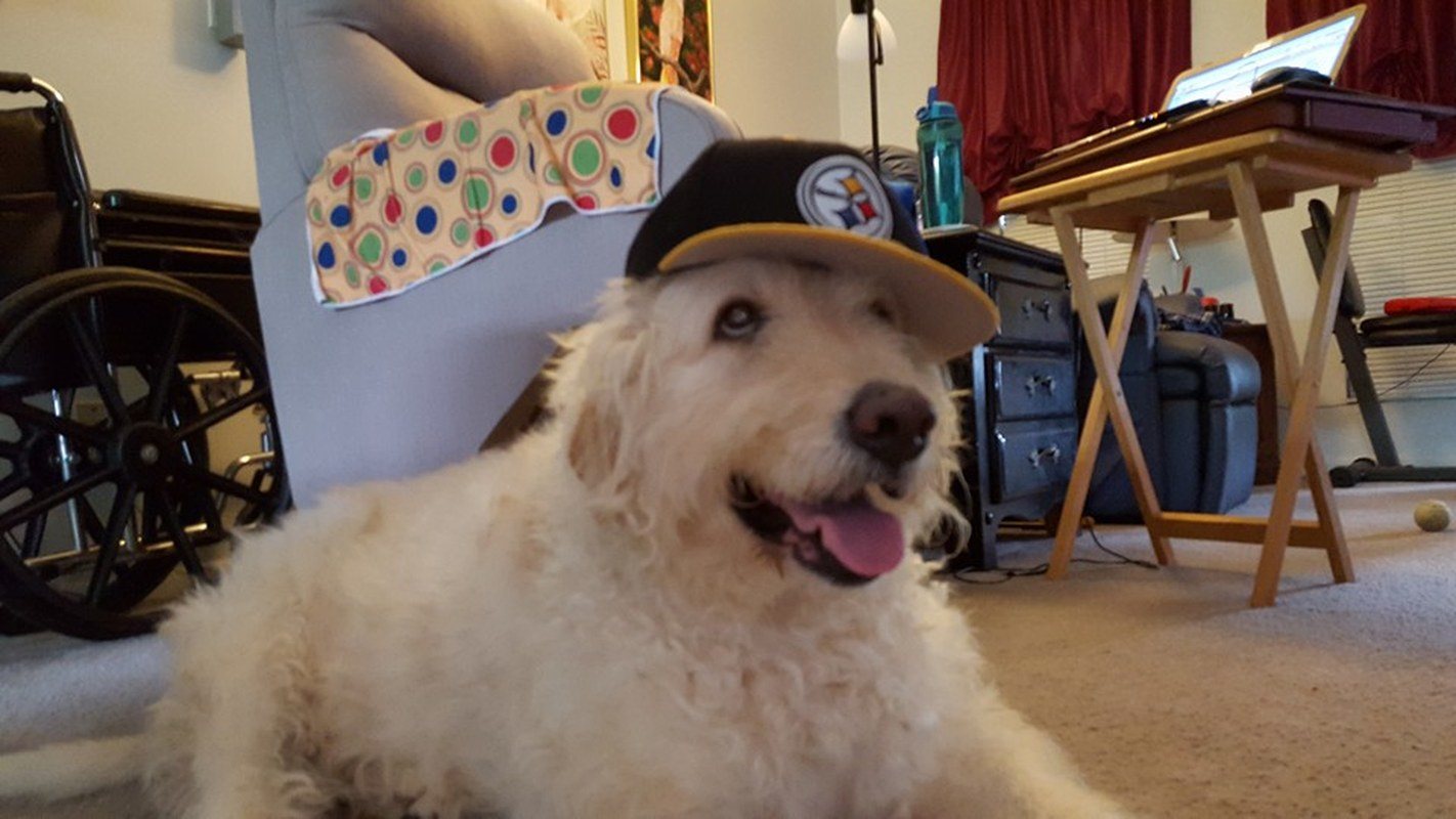 Curley Sue Loves The Steelers