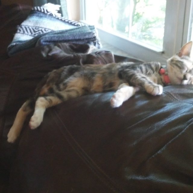 Sliding While Sleeping