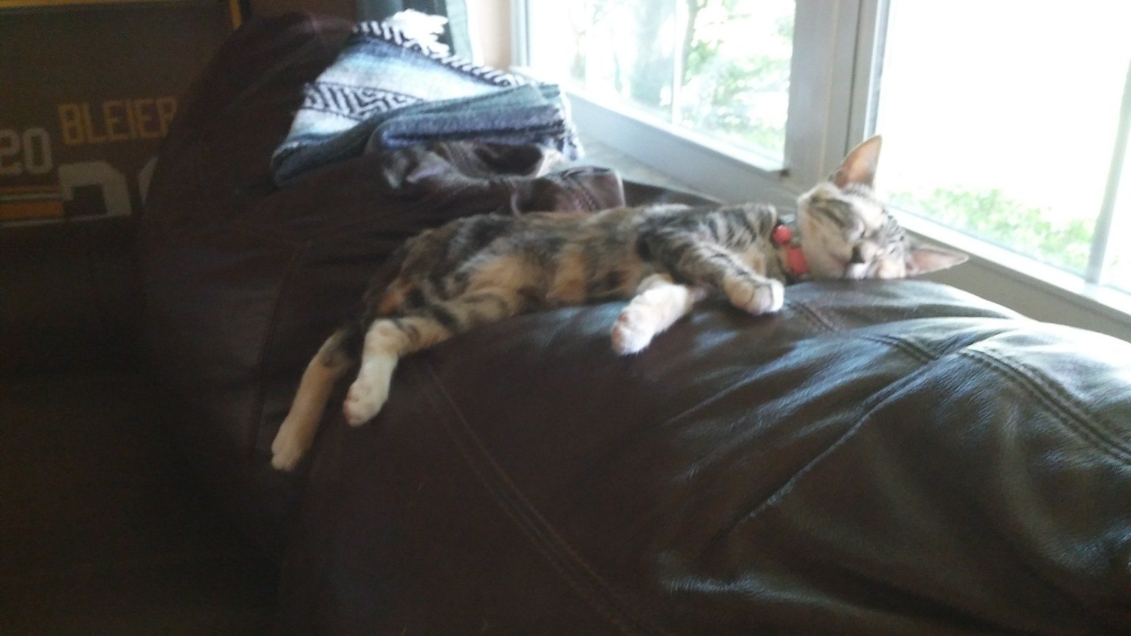 Sliding While Sleeping