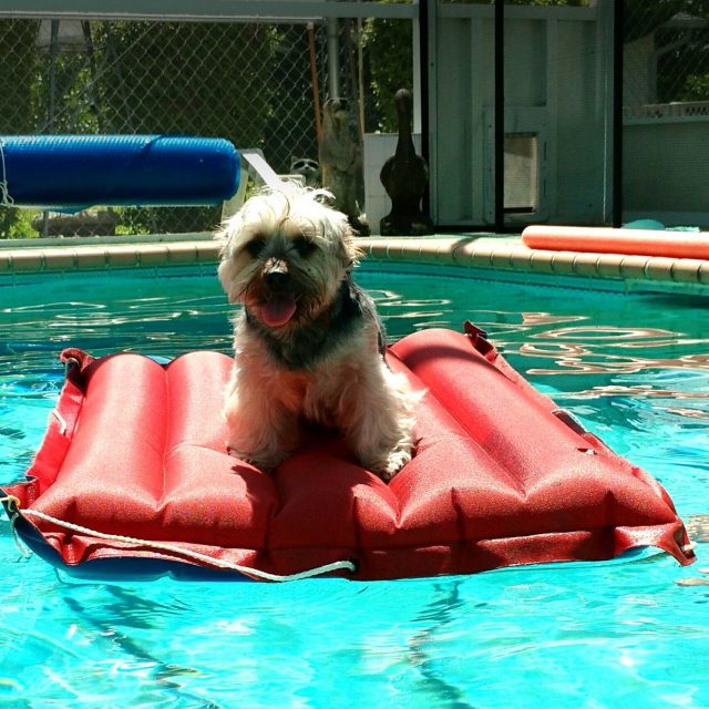 Pool Time For Kai
