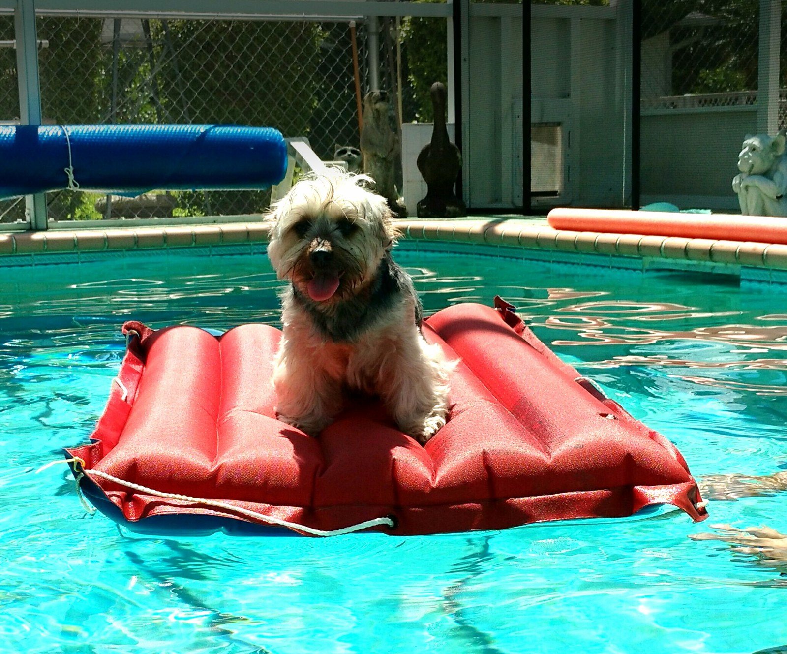 Pool Time For Kai