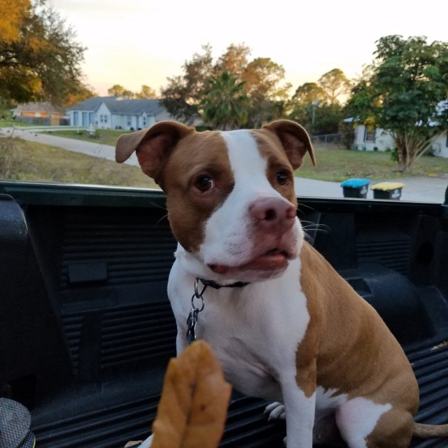 Give Me That Leaf Mom!
