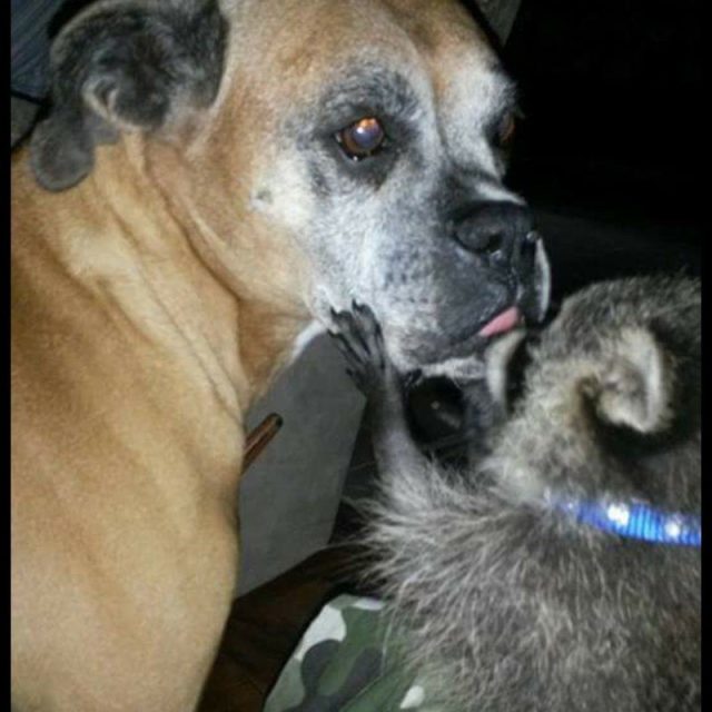 Love For Each Other