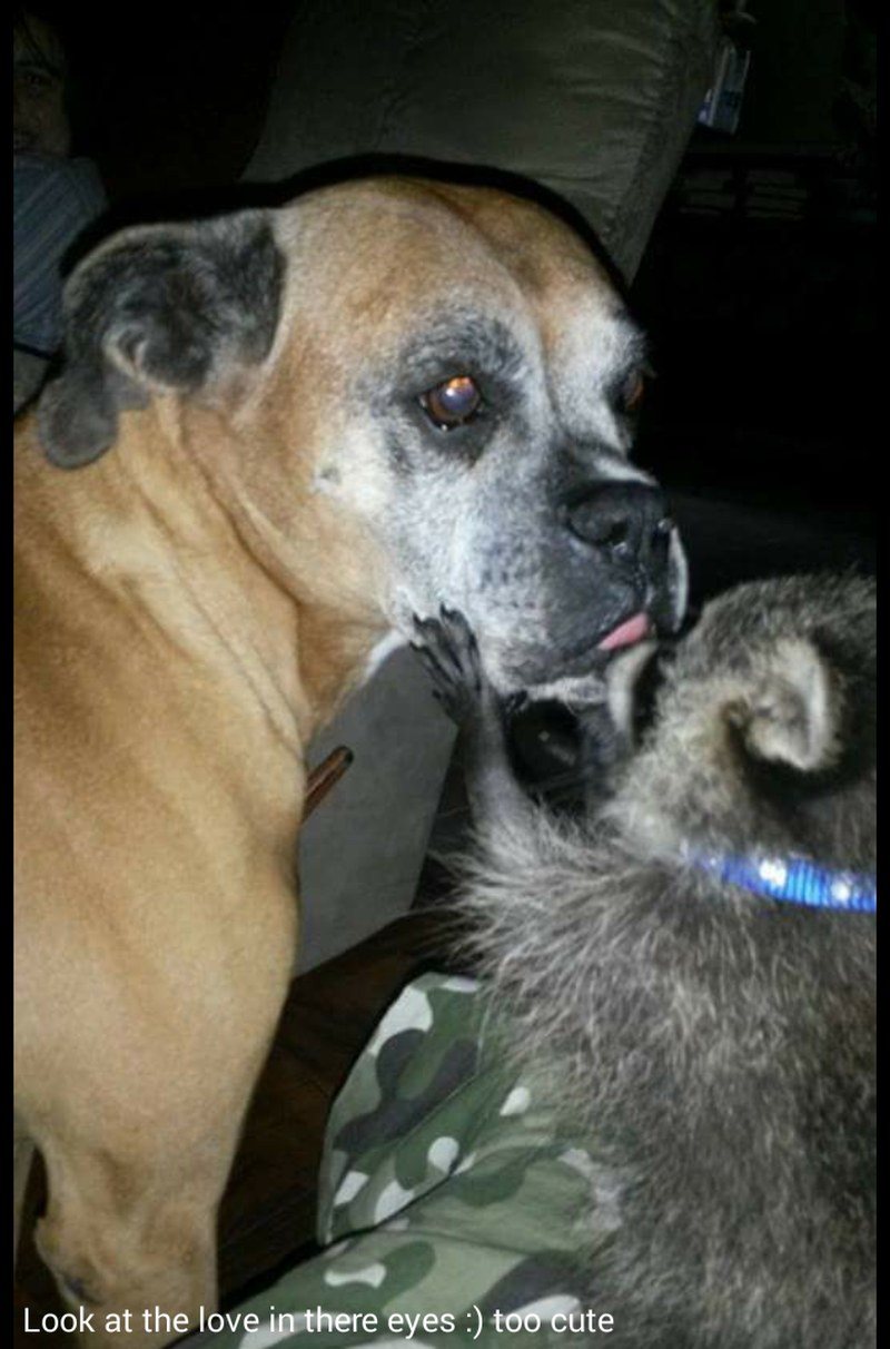Love For Each Other