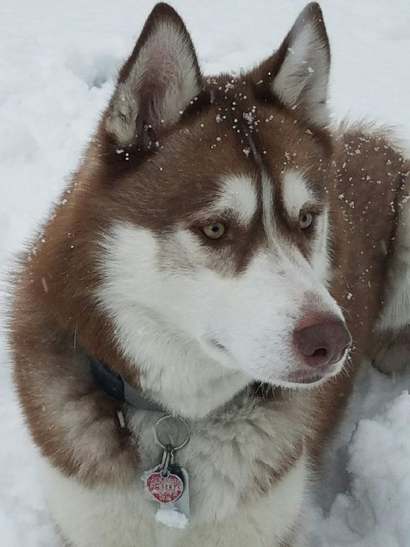 Snow Makes ME Happy!