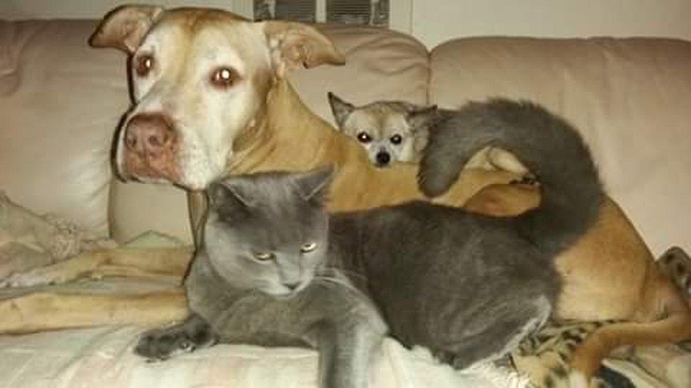 The 3 Muskateers!