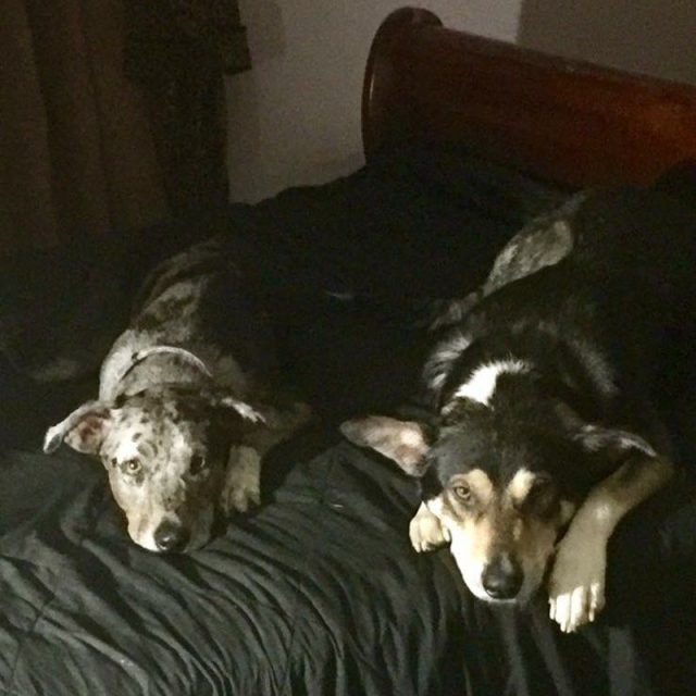 Ahhhh Bed Time!