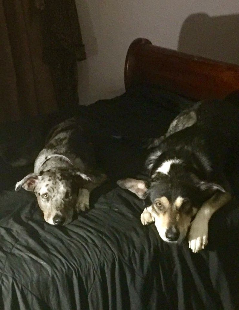 Ahhhh Bed Time!
