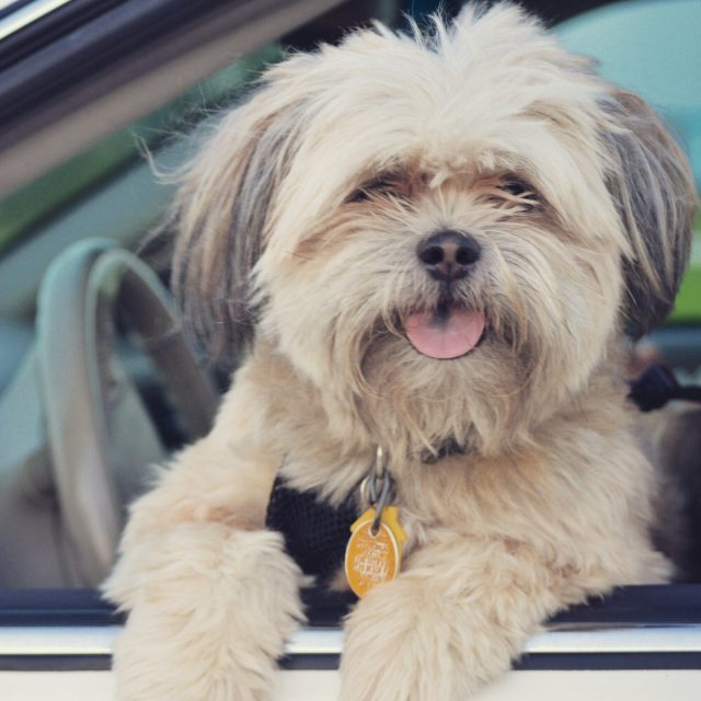 Roadtrip Adventures With Nike
