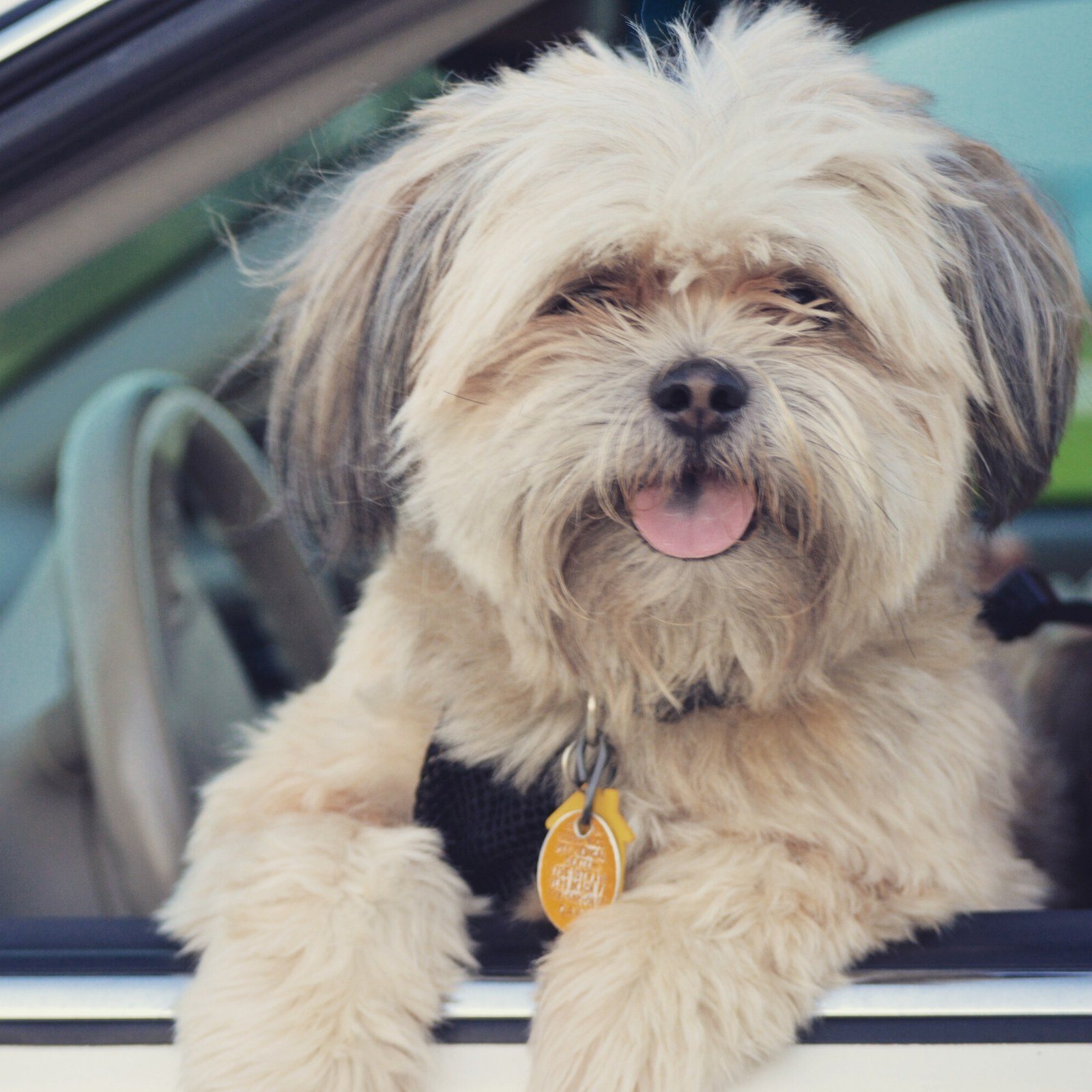 Roadtrip Adventures With Nike