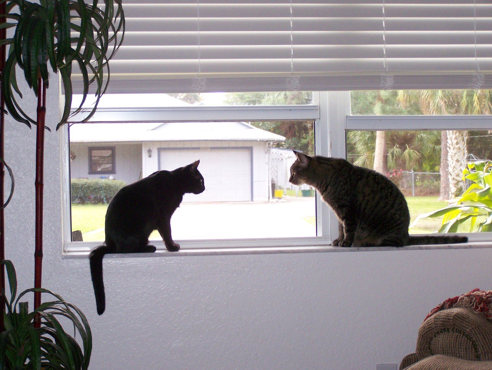 The Standoff