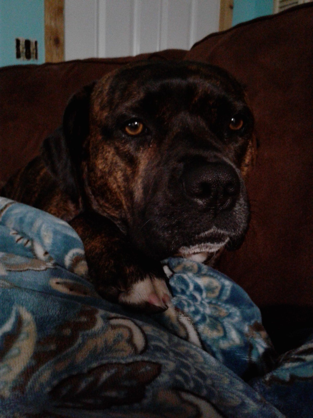 Cuddling