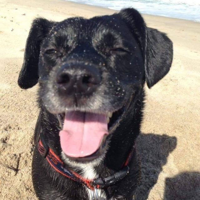 Beach Bum