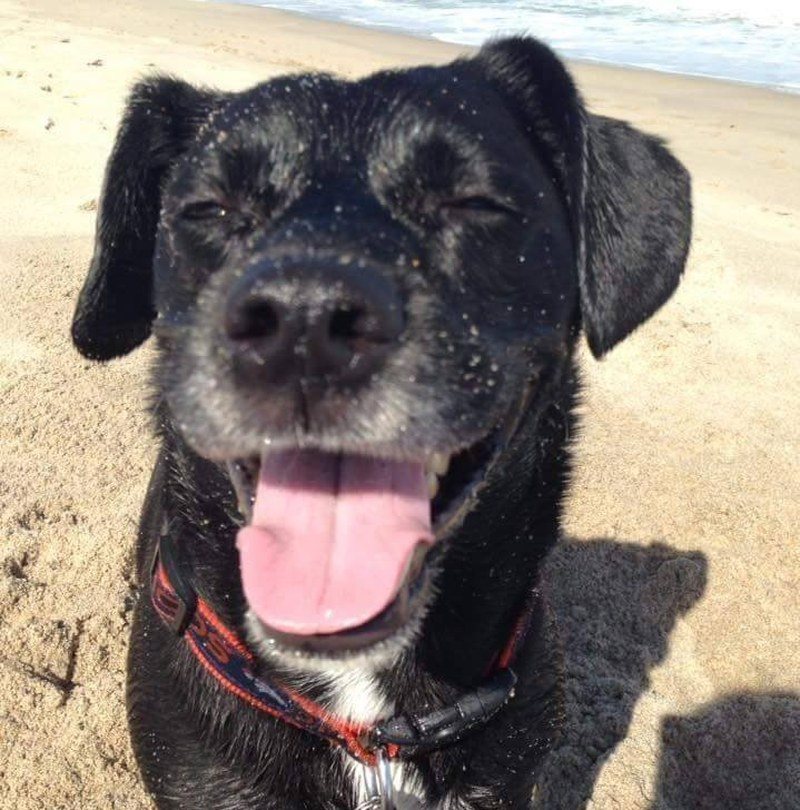 Beach Bum