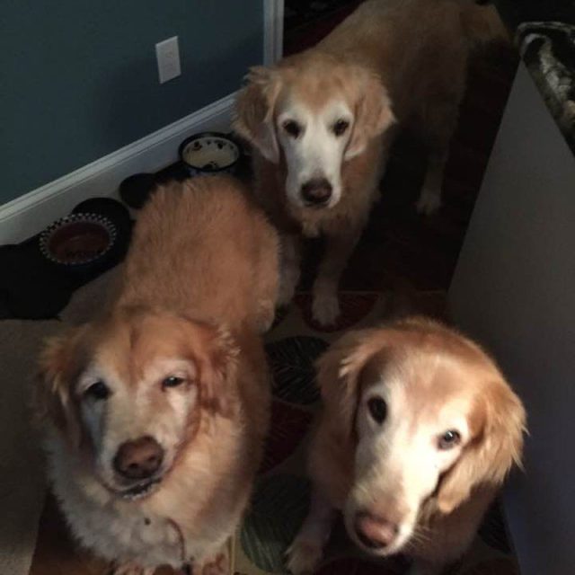Is Dinner Ready Mom?