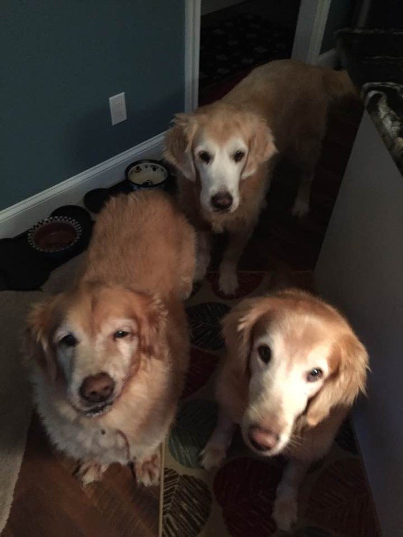 Is Dinner Ready Mom?