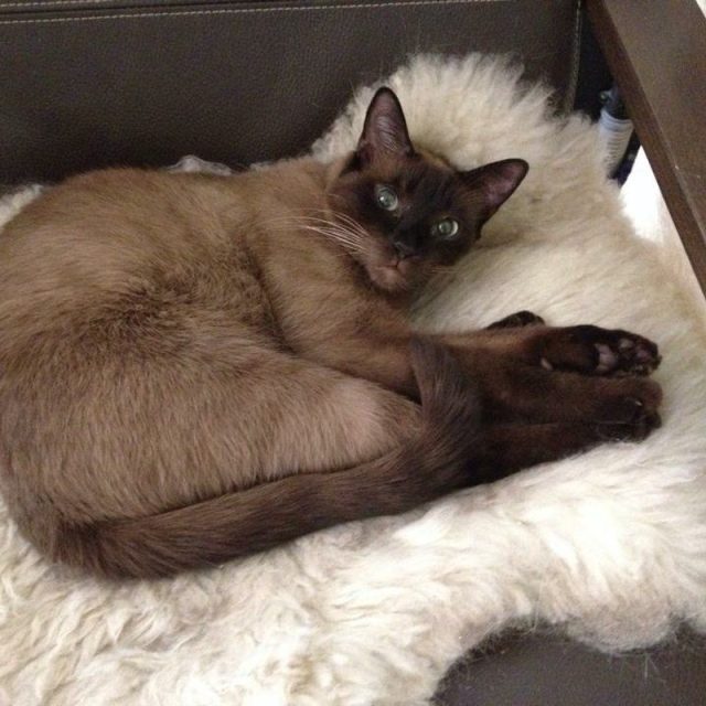 Do Not Disturb!!